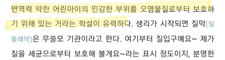 질막(처녀막)에 대해 넌 어디까지 알고있니? | 인스티즈