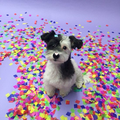 임신한 유투버 영상봤는데 충격이야.jpg | 인스티즈