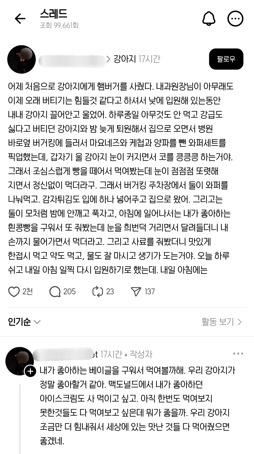 어제 처음으로 강아지에게 햄버거를 사줬다 | 인스티즈