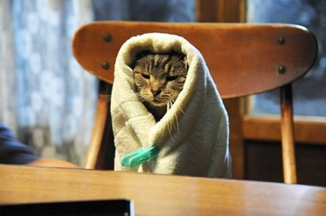  좋아하는 영화 속 대사들 27# | 인스티즈