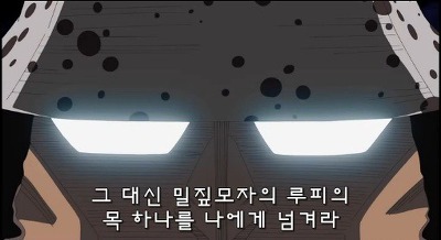 [원피스] 루피가 가장 신뢰하는 동료.jpg | 인스티즈