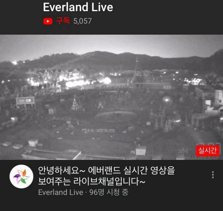 에버랜드에 사람 많은지 적은지 실시간으로 확인하는 법 | 인스티즈