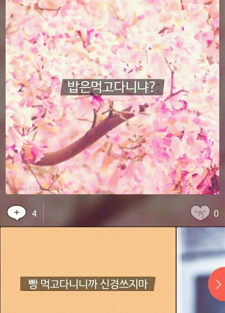 요즘 사이다로 샤워하는 모씨.jpg | 인스티즈