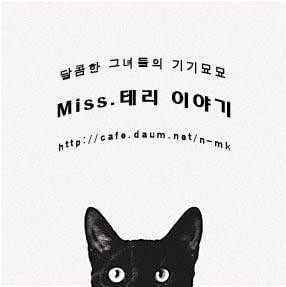 사라져버린 고대 최대 규모의 알렉산드리아 도서관 | 인스티즈