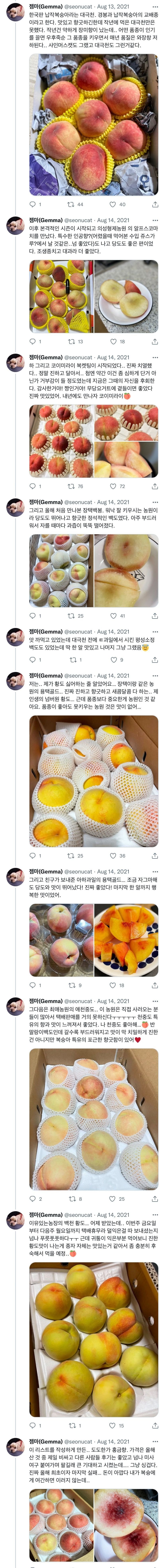 올 여름 복숭아를 놓친 분들은 이 타래를 정독하면 내년엔 성공할 수 있습니다🍑.twt | 인스티즈