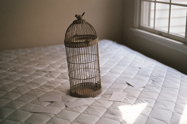 자살시 받는 고통들에 대한 오해.txt | 인스티즈