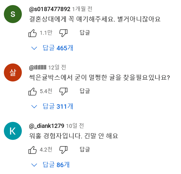 호주 워홀.....유튜브 댓글 대참사 | 인스티즈