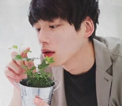 한국인같다는 소리를 꽤 들었던 일본연예인 4명 .jpgif | 인스티즈