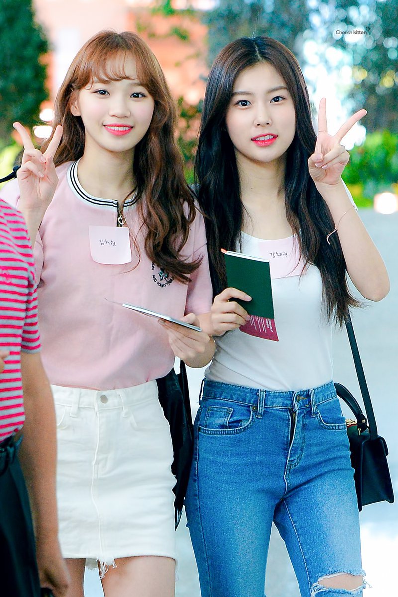 채원이 챙겨주는 혜원엄마 ㅋㅋㅋ (아이즈원) | 인스티즈