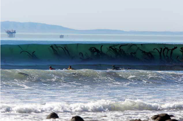 심해공포 관련사진 | 인스티즈