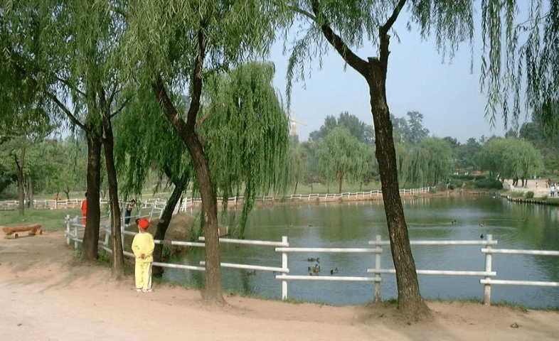 스압주의)2000년대 초 분위기 | 인스티즈