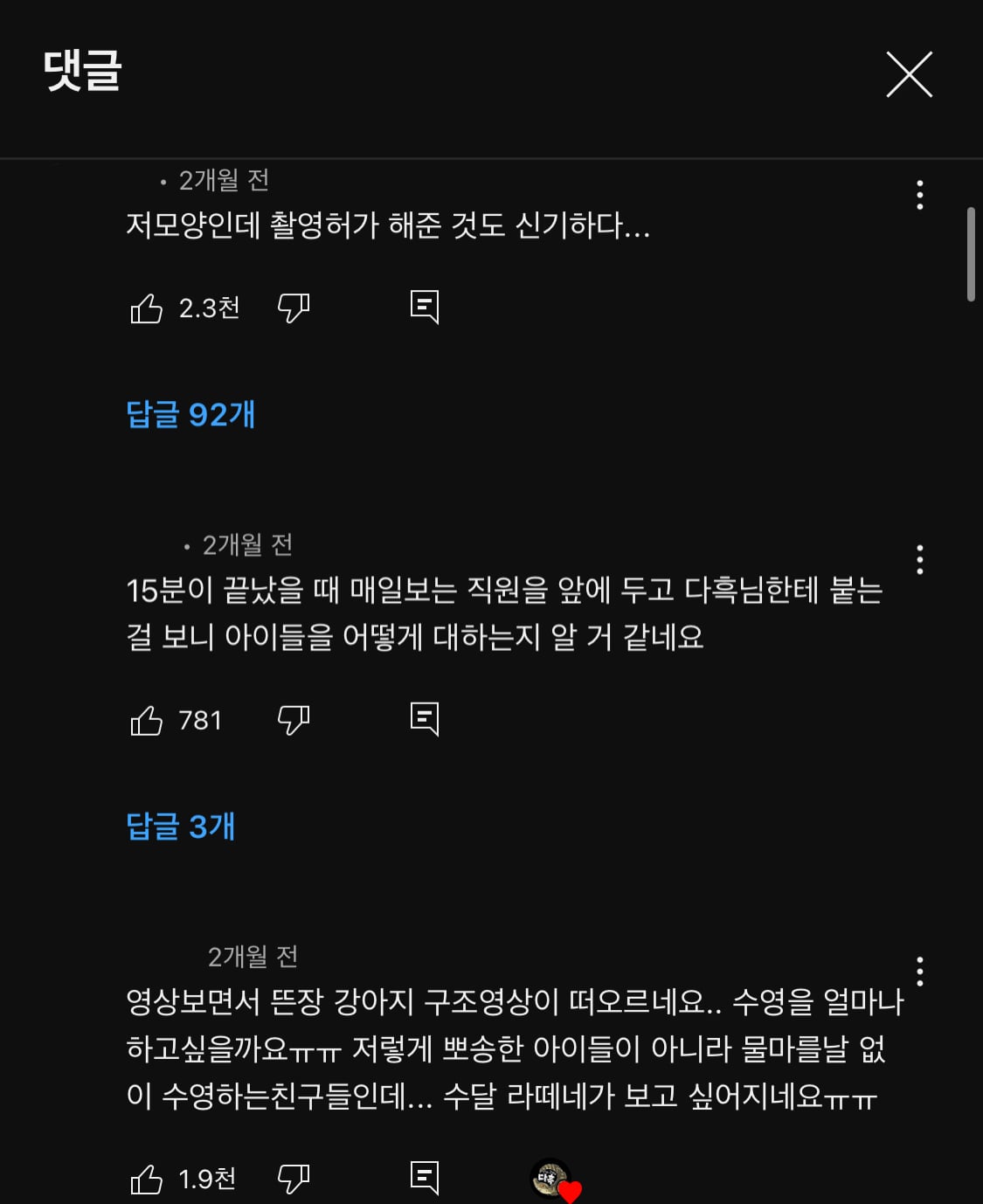 지옥이 다름없는 충격적인 일본 수달 카페.. | 인스티즈