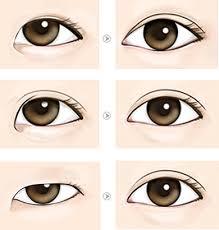 쌍수한 사람들이 가끔 꾸는 꿈 | 인스티즈