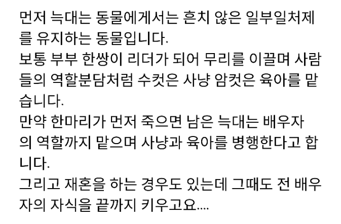 남자는 다 늑대야가 늑대한테 모욕인 이유 | 인스티즈