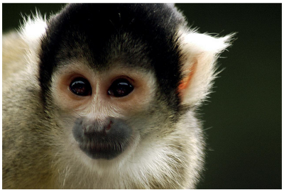 남자의 발기에 관한 신기한 사실들 | 인스티즈