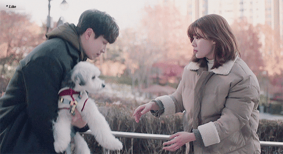 [365운명을거스르는1년] 애정씬 하나없이 애틋했던 장르물 속 남주-여주 서사.gif | 인스티즈