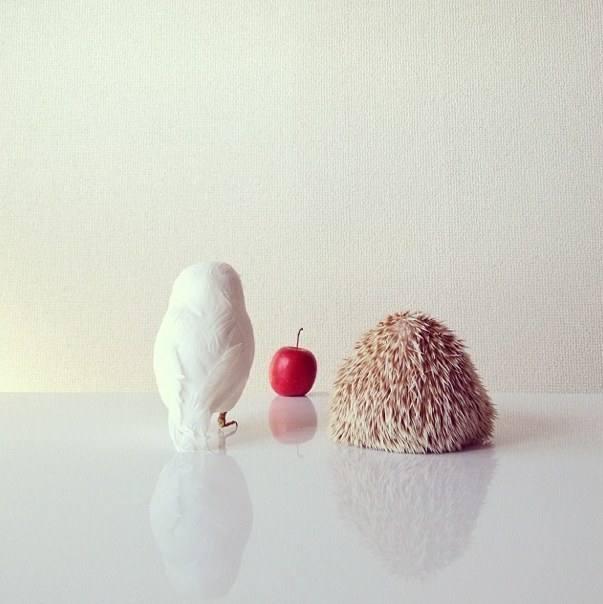 자살시 받는 고통들에 대한 오해.txt | 인스티즈