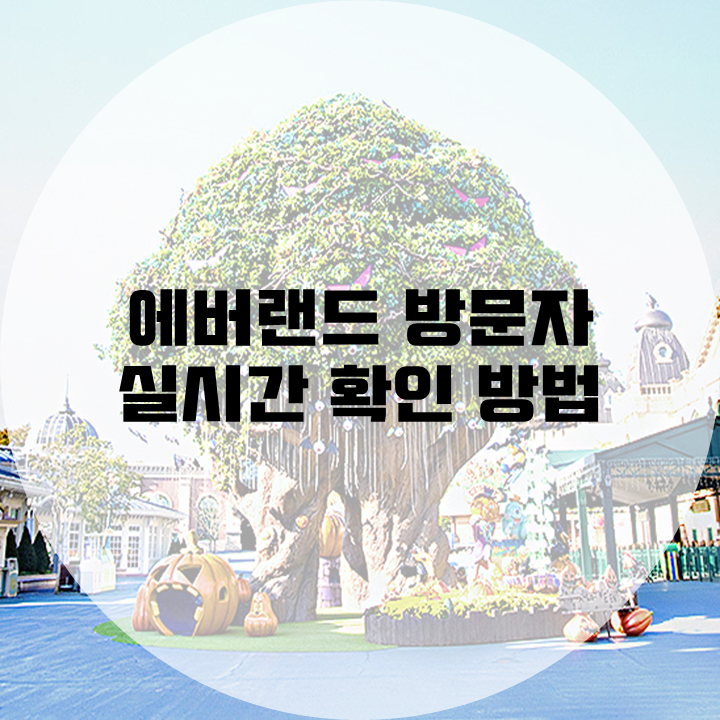에버랜드에 사람 많은지 적은지 실시간으로 확인하는 법 | 인스티즈