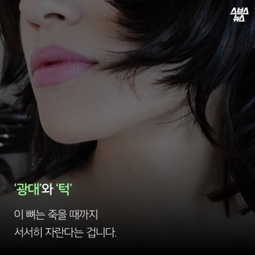 죽을때까지 자란다는 광대와 턱의 진실 | 인스티즈