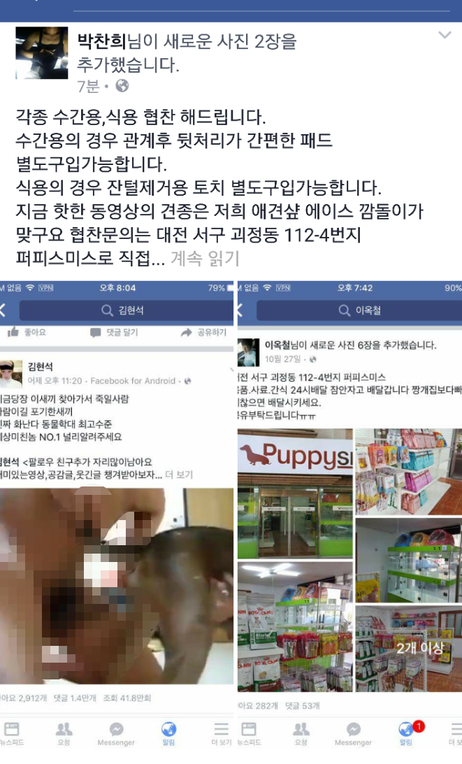 자기집 강아지 항문에 성기 꽂은 페북남 (사진주의) | 인스티즈