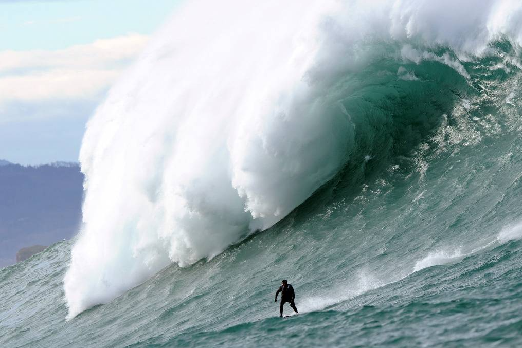 심해공포 관련사진 | 인스티즈