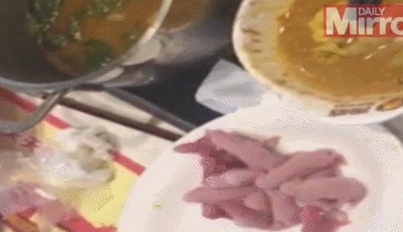 살아있는 쥐를 먹는 중국 요리, 싼쯔얼 | 인스티즈