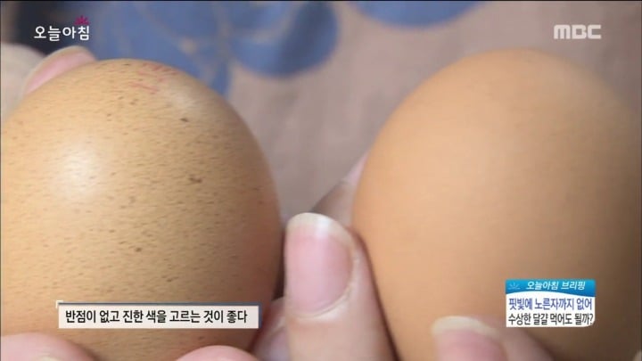 계란에서 피가나와요.jpg | 인스티즈