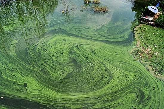 이명박 예산 낭비 클라스.jpg (feat.사대강) | 인스티즈