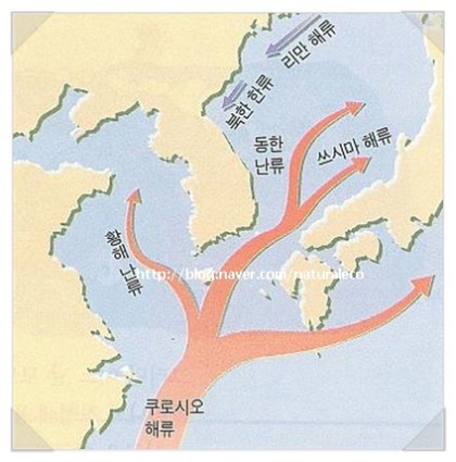 11년전 부산에서 발생한 미스테리한 미제사건, 고교생 매물도 변사사건 | 인스티즈