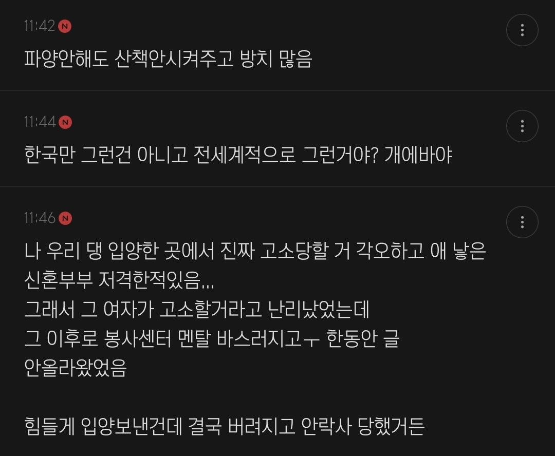 출산하면 키우던 반려동물한테 정떨어진다는거 충격인 달글 | 인스티즈