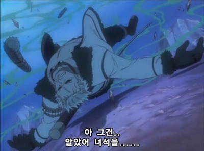 [원피스] 루피가 가장 신뢰하는 동료.jpg | 인스티즈