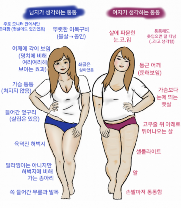 남녀가 생각하는 "통통하다" 의 이미지 | 인스티즈