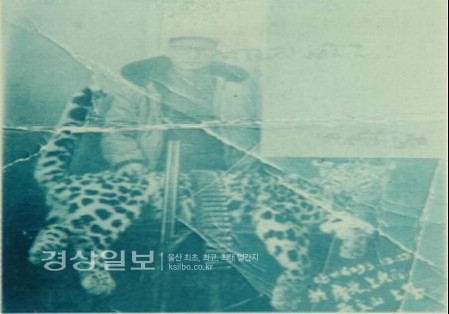 마지막 한국 표범에 대한 기록들.jpg | 인스티즈