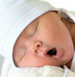 아들? 딸? 선택해서 임신하는 방법? | 인스티즈