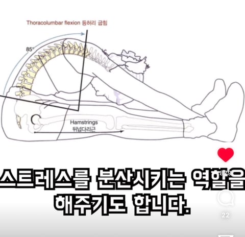 필라테스의 효과 (속근육의 기능) | 인스티즈