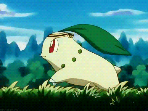 포켓몬스터) 넘나 귀여운 치코리타 짤모음 | 인스티즈