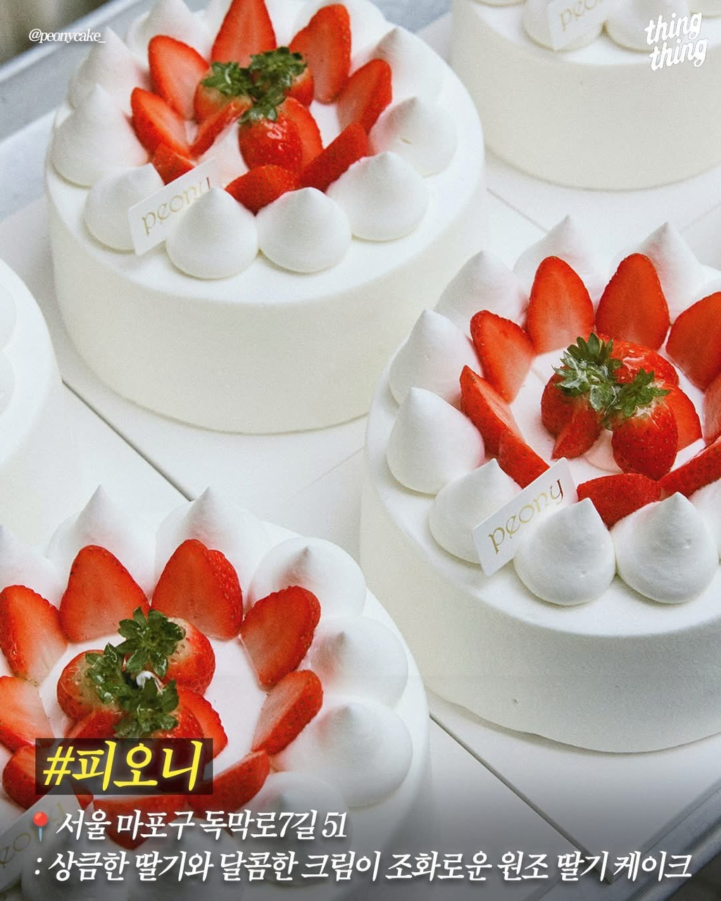 딸기처돌이들을 위한 서울딸기케이크 맛집 | 인스티즈