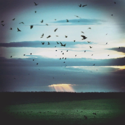 자살.................................생각해 보신 적 있으세요? | 인스티즈