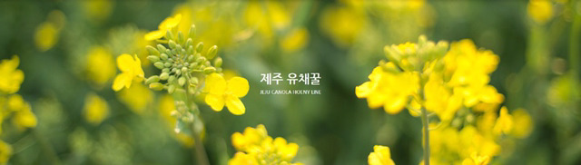 이니스프리가 얼마나 제주도를 탈탈 터는지 알아보자(feat.제주도 착즙기 브랜드).jpg | 인스티즈