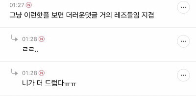 레즈 은어 태그 퍼트려서 강제 아웃팅 시키고 얼평하고 악플다는 여성시대 카페 +댓글추가 | 인스티즈