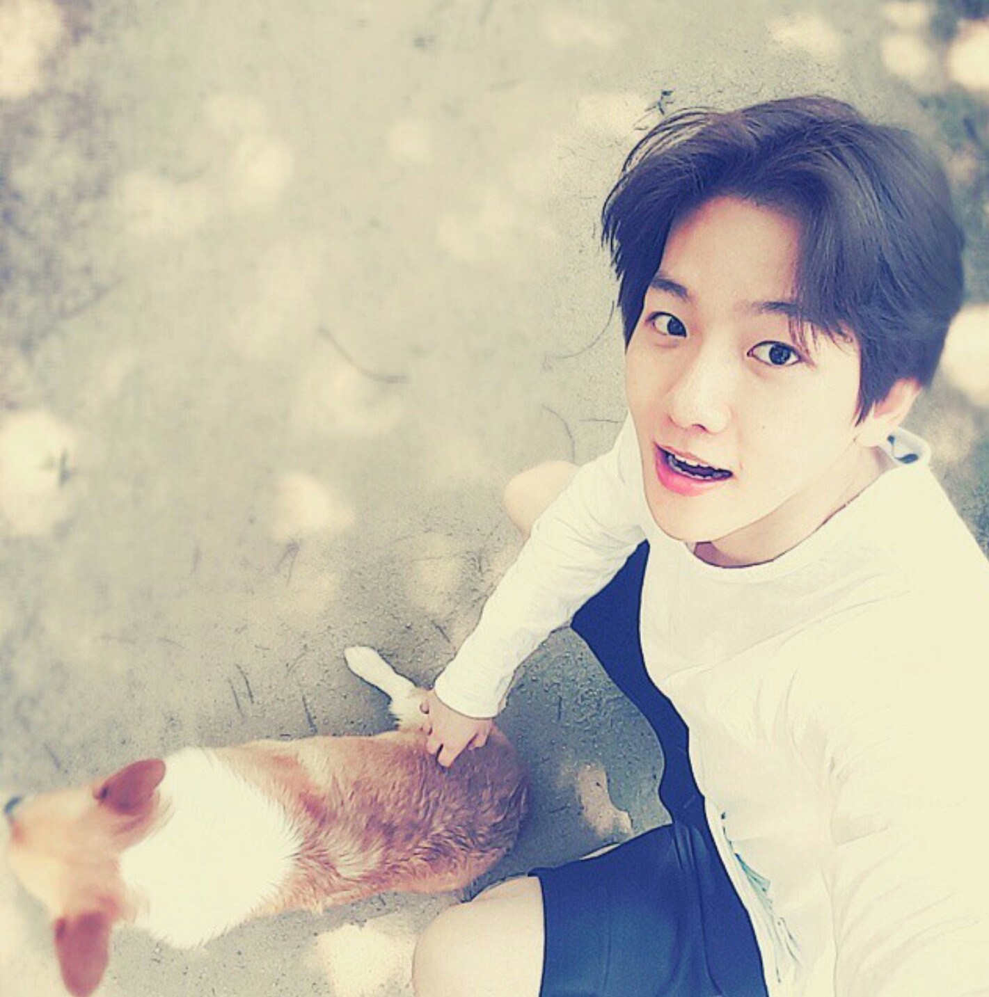 남자 아이돌이 키우는 강아지들 | 인스티즈