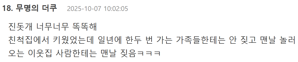 진돗개가 한국사람과 찰떡인 이유 | 인스티즈