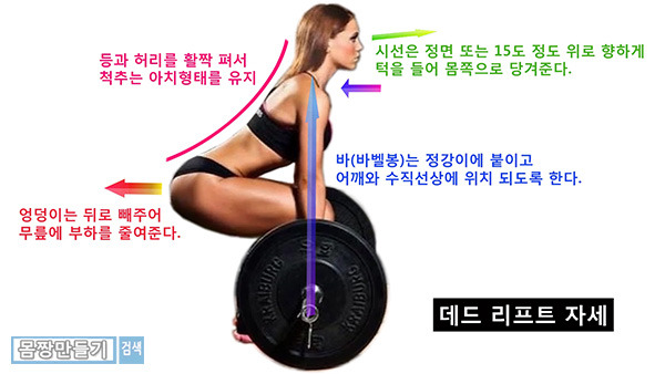데드리프트(Deadlift)의 종류 - 1편 (컨벤셔널, 루마니안, 스티프 레그, 스모) | 인스티즈