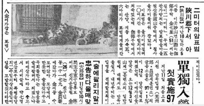 마지막 한국 표범에 대한 기록들.jpg | 인스티즈