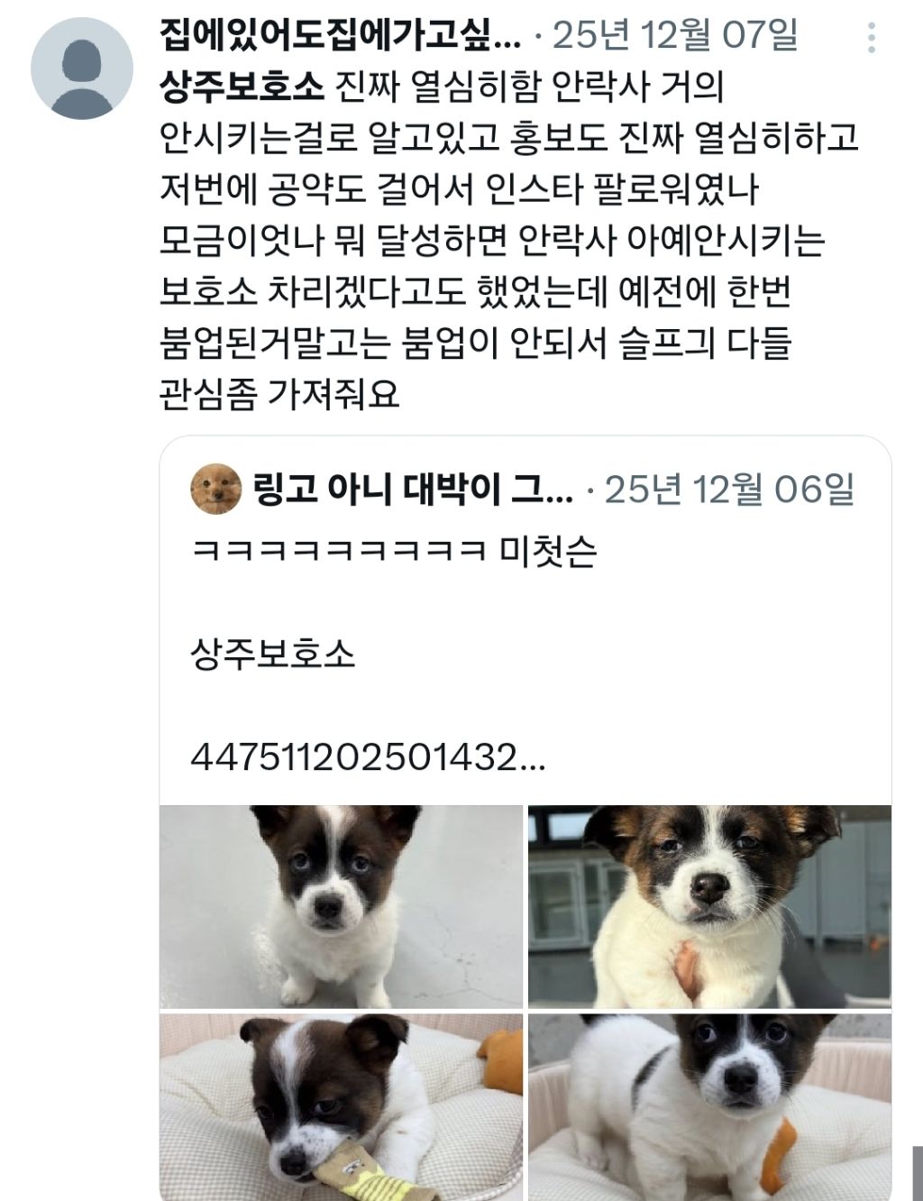 갑작스럽게 계정 폐쇄한 상주시 유기견센터 | 인스티즈