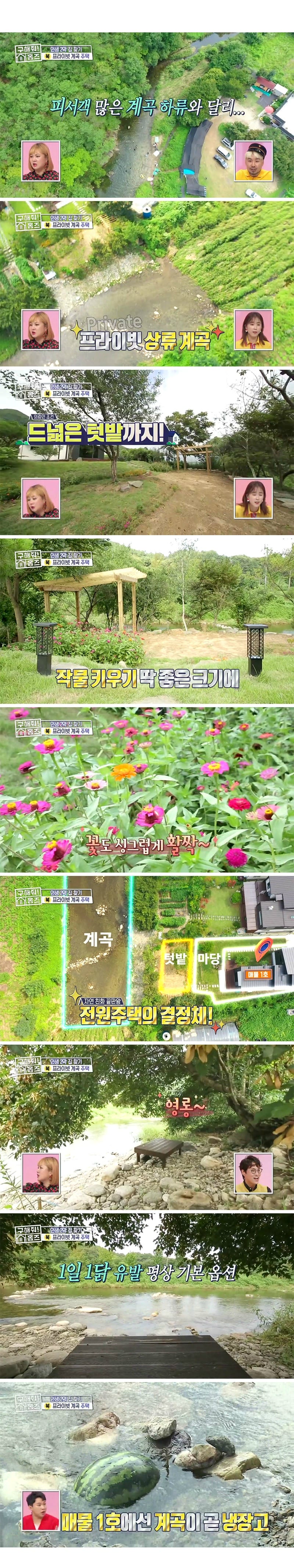 [구해줘 홈즈] 경기도 양평 프라이빗 계곡 전원주택 (약 스압) | 인스티즈