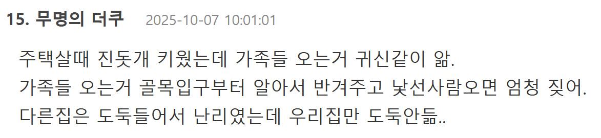 진돗개가 한국사람과 찰떡인 이유 | 인스티즈