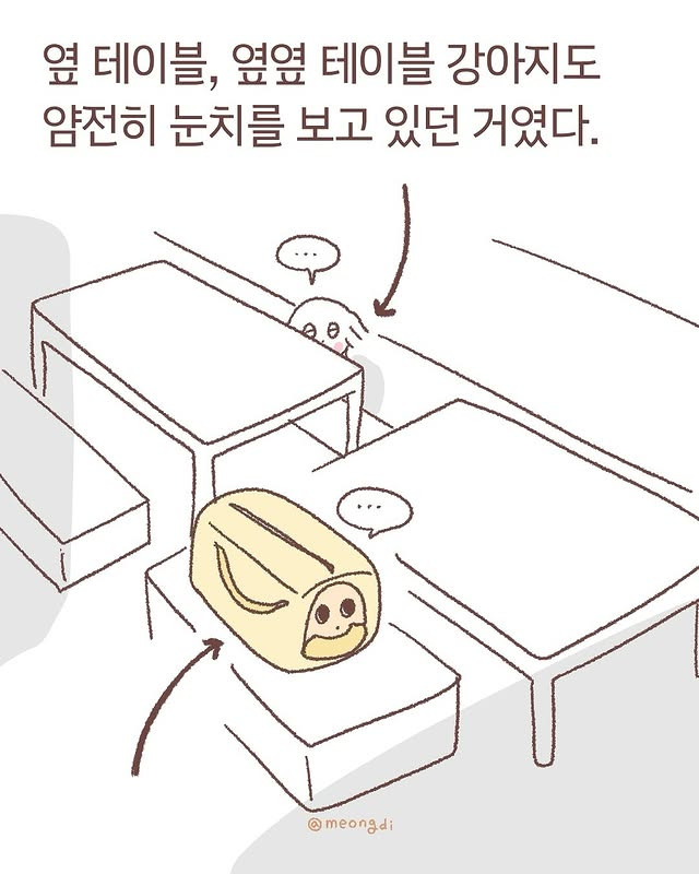 생각보다 눈치빠른 강아지들 | 인스티즈
