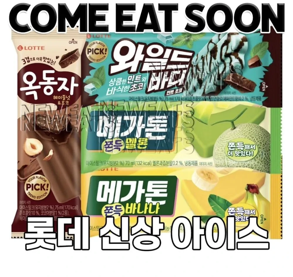 와일드바 민트 출시예정 | 인스티즈