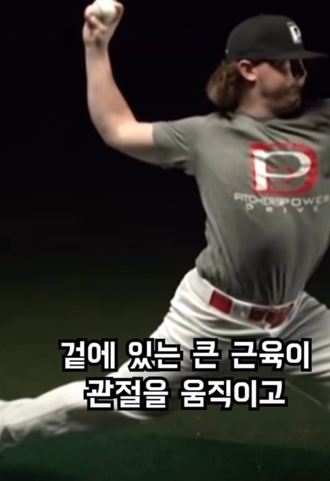 필라테스의 효과 (속근육의 기능) | 인스티즈
